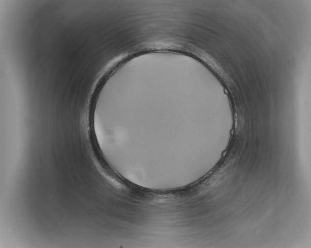 X0000110930438200907161542