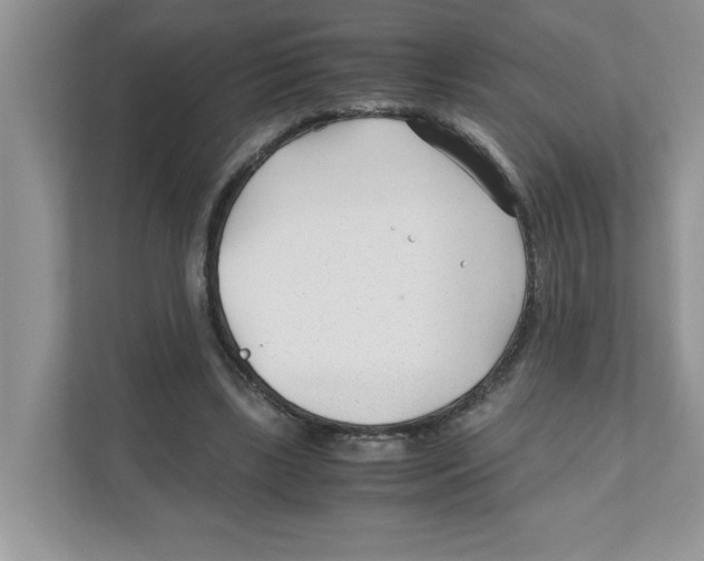 X0000110930443200907161542