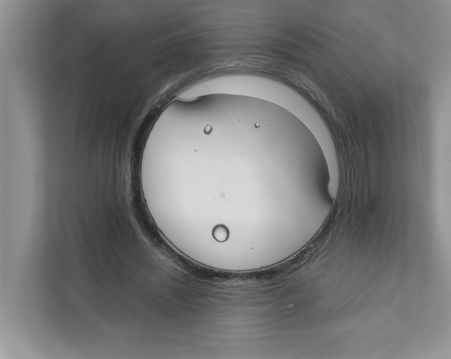 X0000110930444200907161542