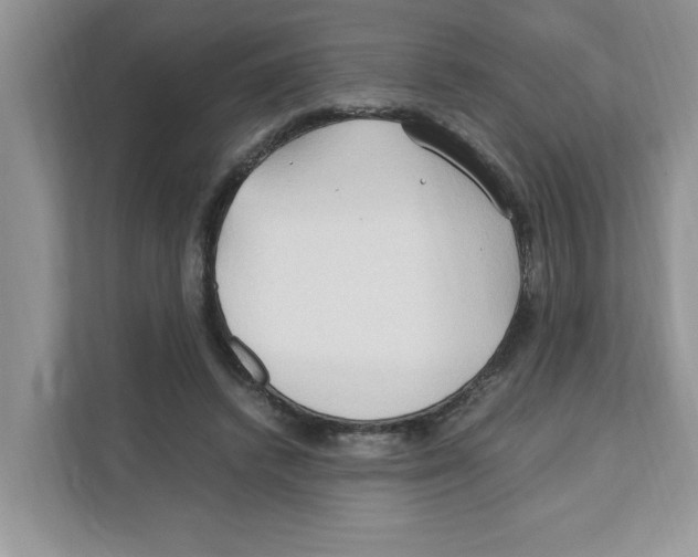 X0000110930448200907161542