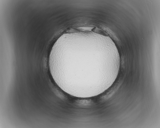 X0000110930449200907161542