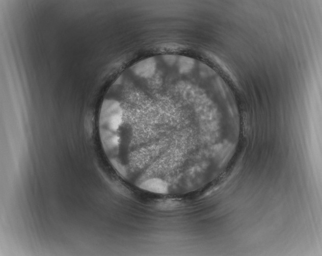 X0000110930451200907161542
