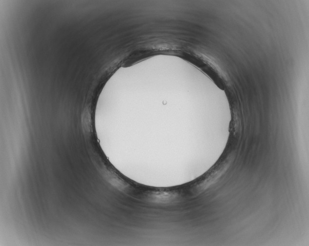 X0000110930453200907161542