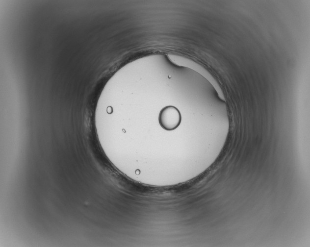 X0000110930456200907161542