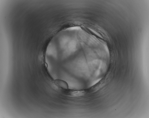 X0000110930465200907161542