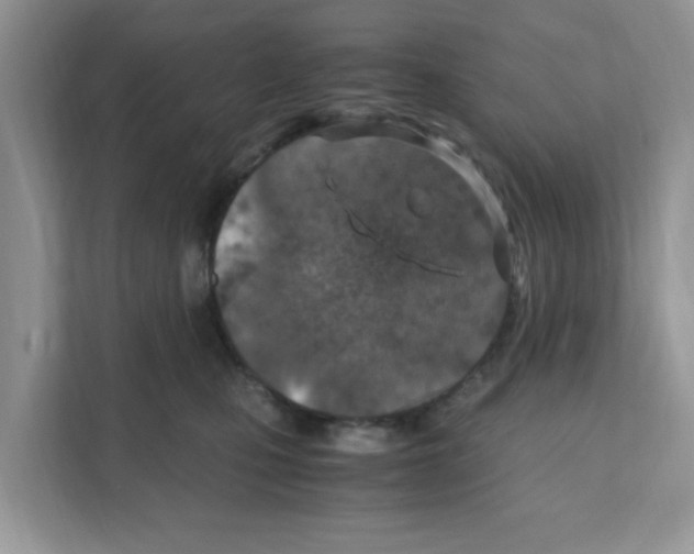 X0000110930471200907161543