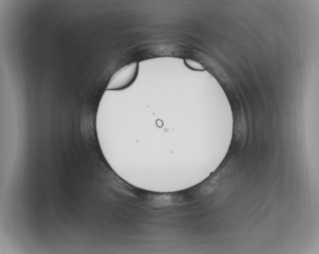 X0000110930473200907161543