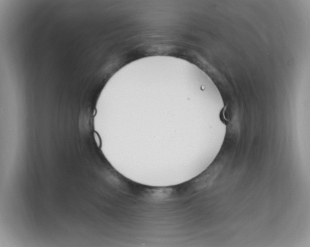 X0000110930474200907161543