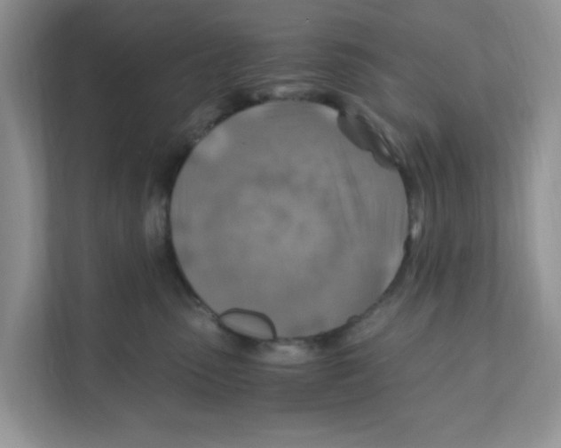 X0000110930475200907161543