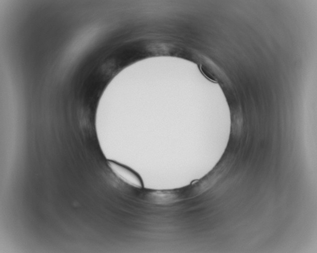 X0000110930477200907161543