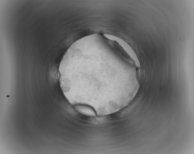 X0000110930479200907161543