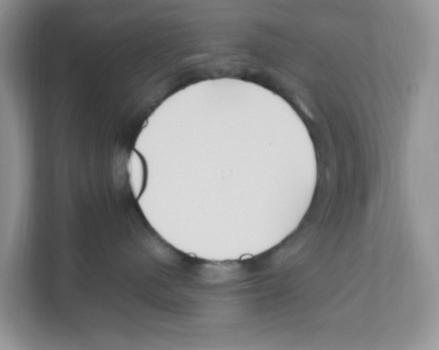 X0000110930480200907161543