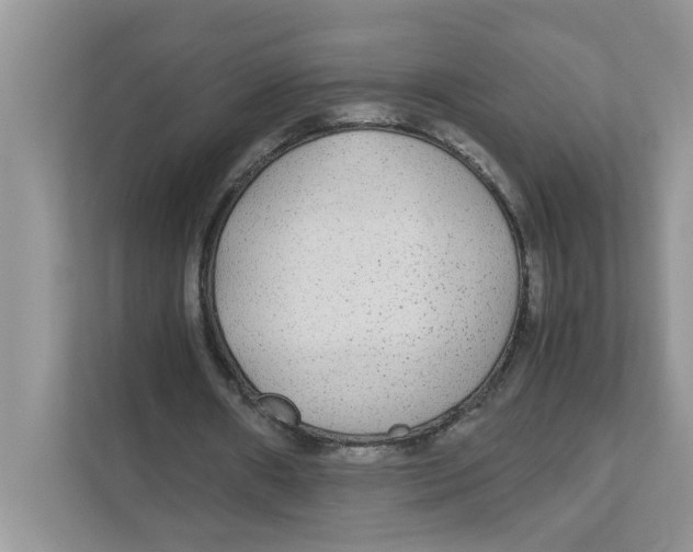 X0000110930482200907161542