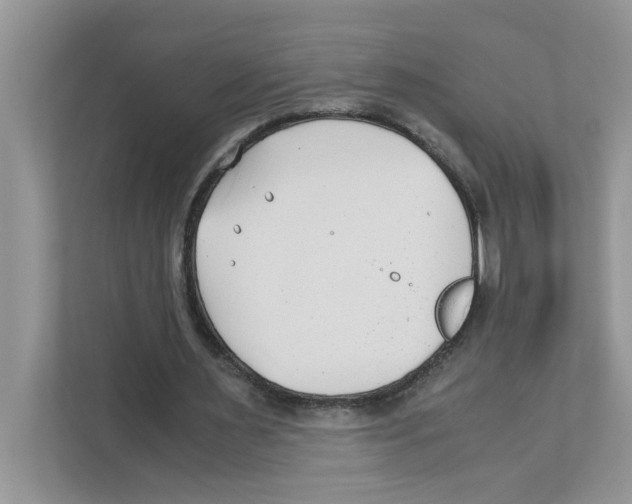 X0000110930483200907161542