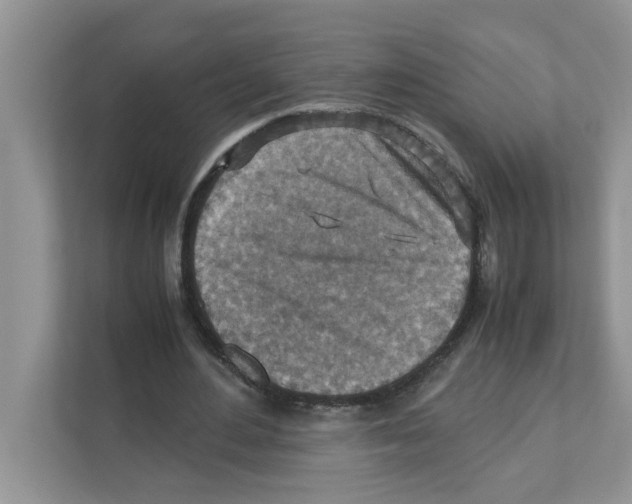 X0000110930484200907161542