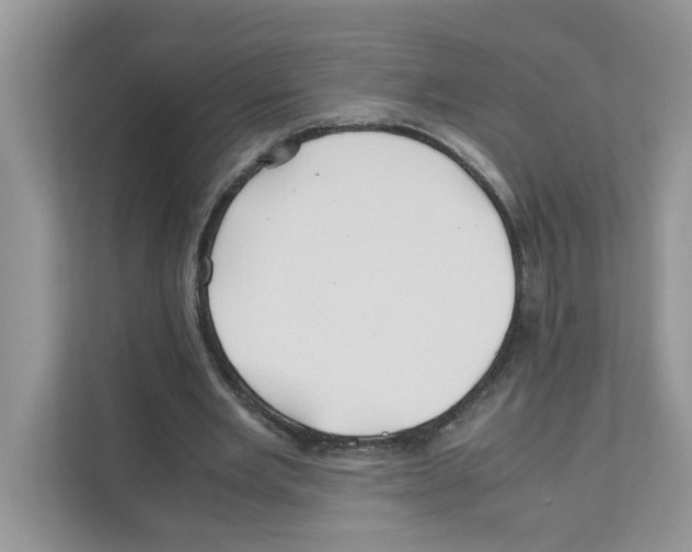 X0000110930485200907161542
