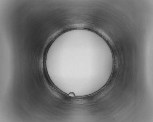X0000110930486200907161542