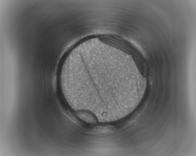 X0000110930488200907161542