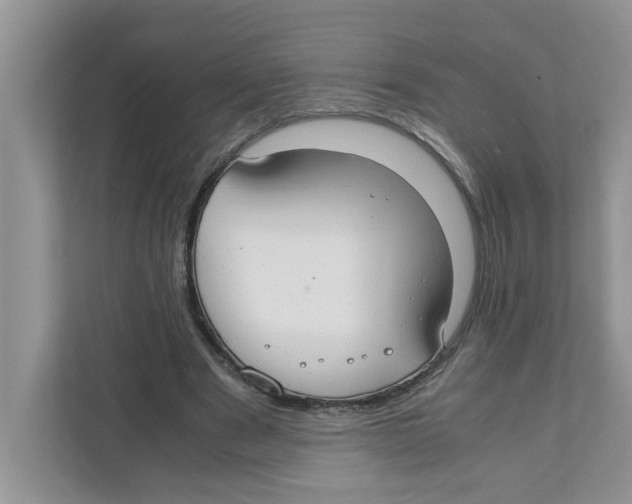 X0000110930489200907161542
