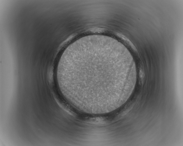 X0000110930492200907161542