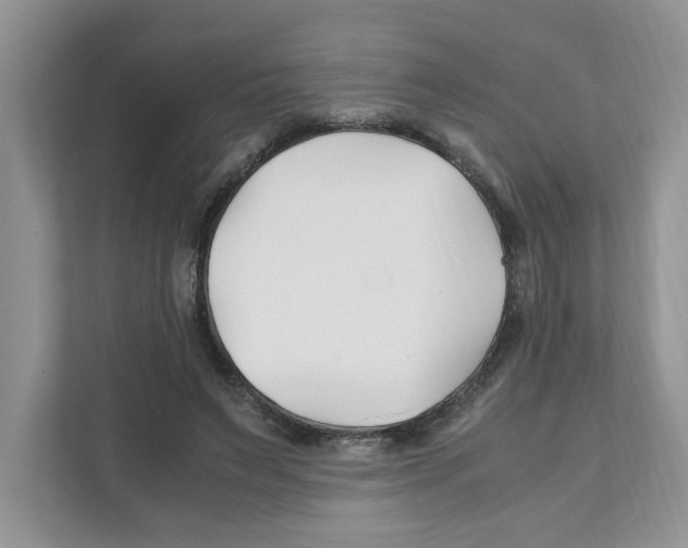 X0000110930495200907161542