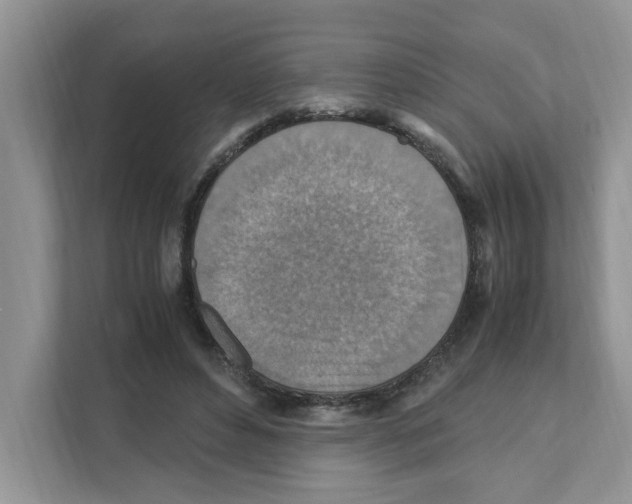 X0000110930496200907161542