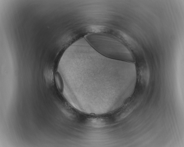 X0000110930500200907161542