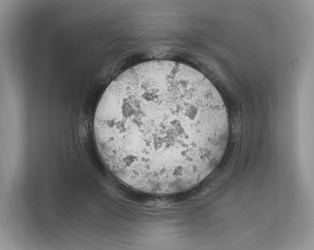 X0000110930503200907161542
