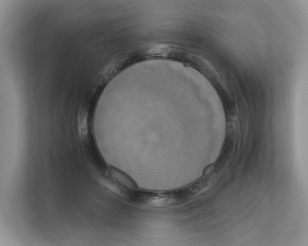 X0000110930504200907161542