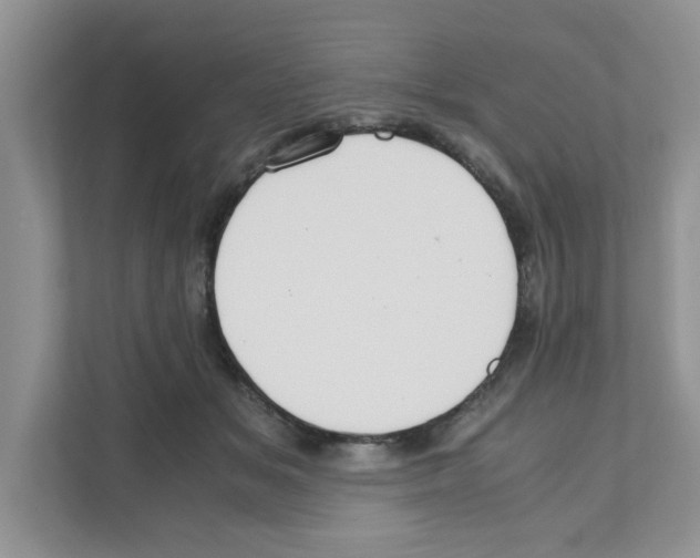 X0000110930509200907161542