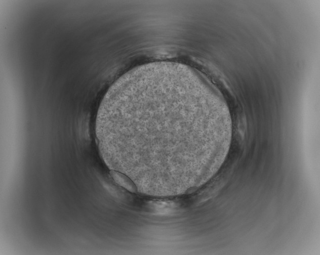 X0000110930512200907161542