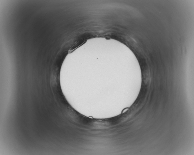 X0000110930515200907161542