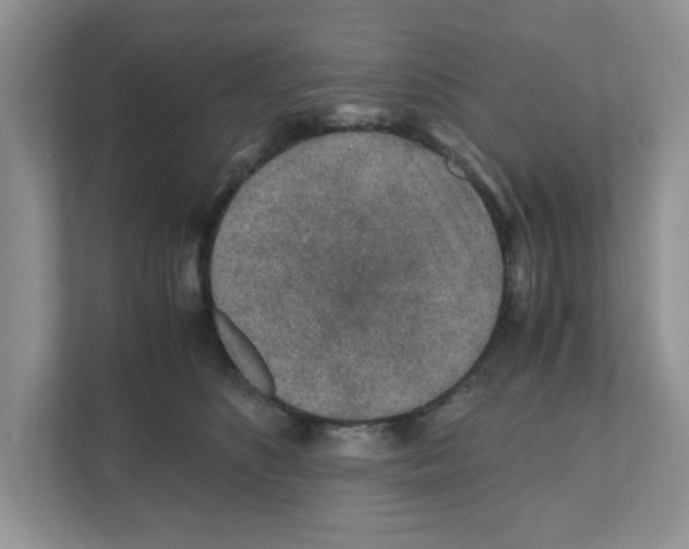 X0000110930516200907161542