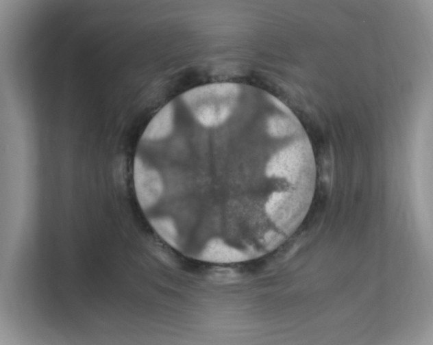 X0000110930519200907161542