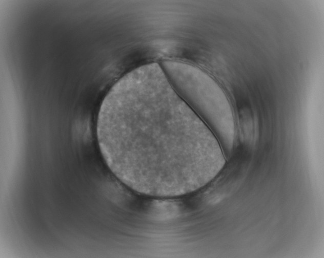 X0000110930520200907161542