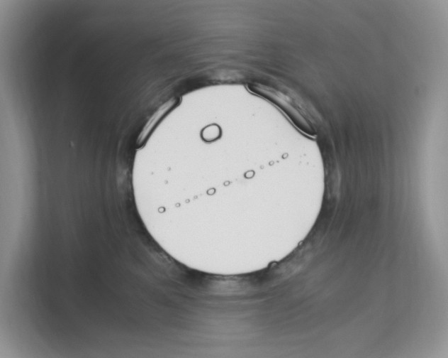 X0000110930521200907161542
