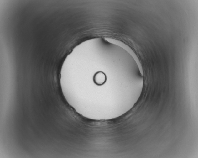 X0000110930524200907161542