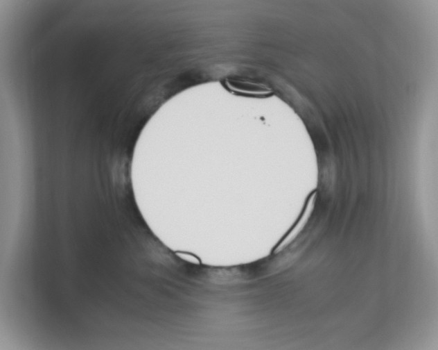 X0000110930525200907161541