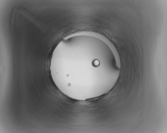 X0000110930528200907161541