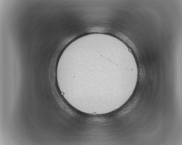 X0000110930529200907161541