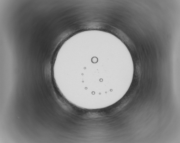 X0000110930534200907161541