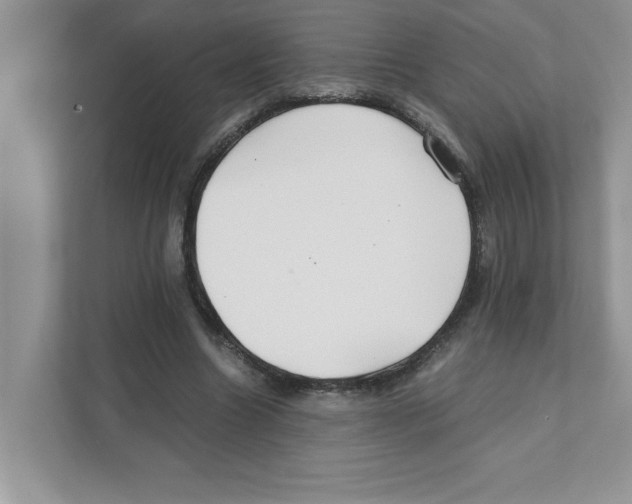 X0000110930538200907161541