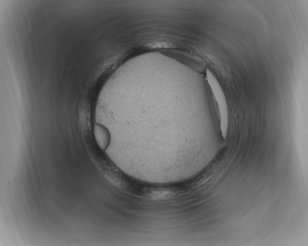 X0000110930547200907161541