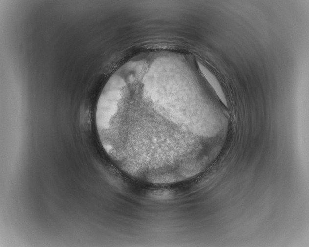 X0000110930551200907161541