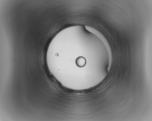 X0000110930552200907161541