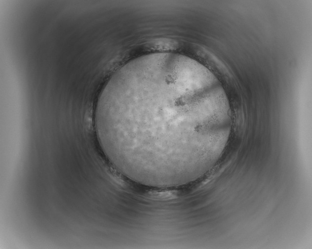 X0000110930553200907161541