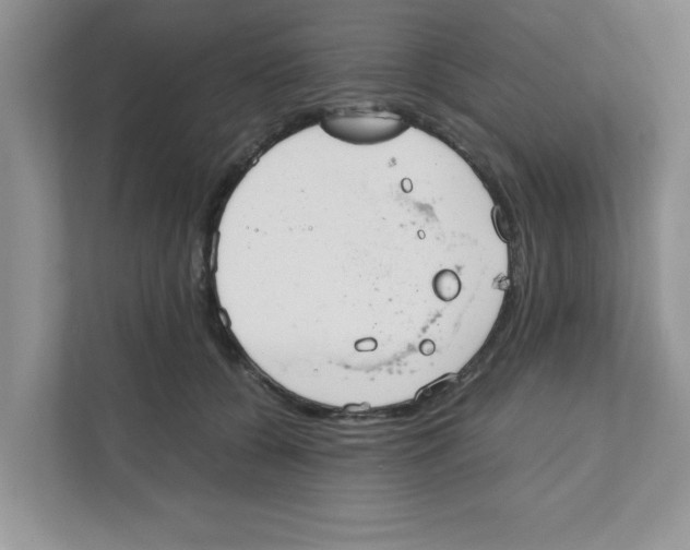 X0000110930560200907161541