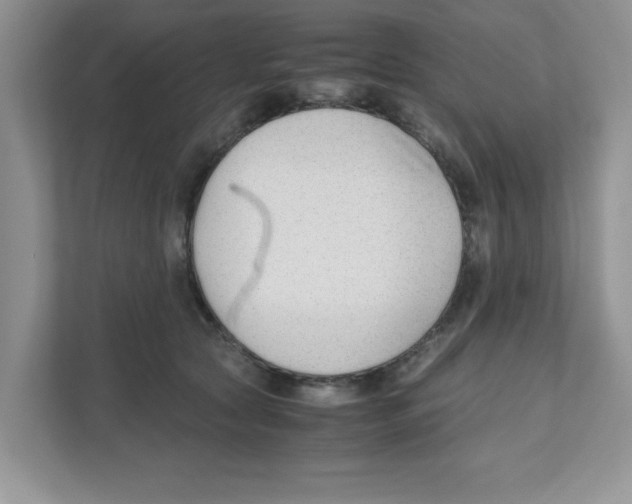 X0000110930561200907161541