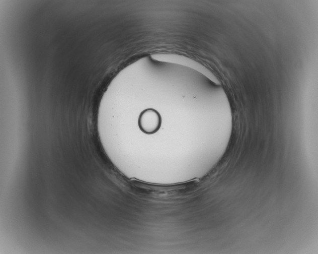 X0000110930564200907161541