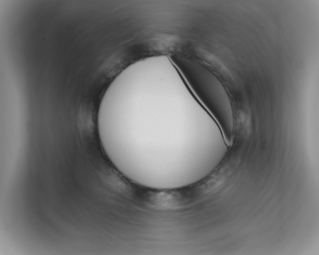 X0000110930566200907161541